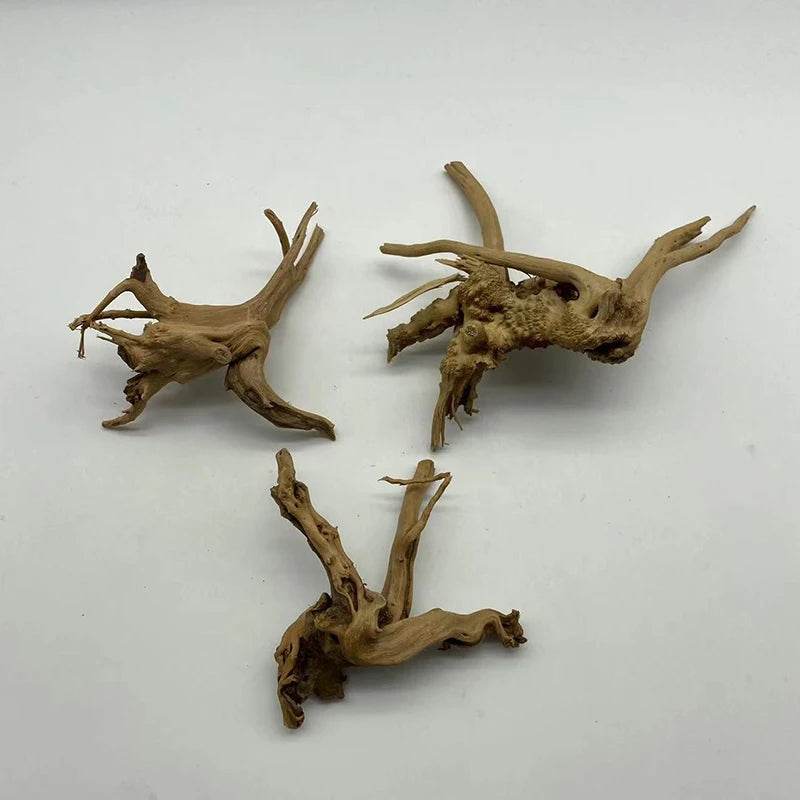 Tronc d'arbre naturel bois flotté Aquarium Aquarium plante bois décoration ornement Aquarium décoration Aquarium accessoires - Animaleriex