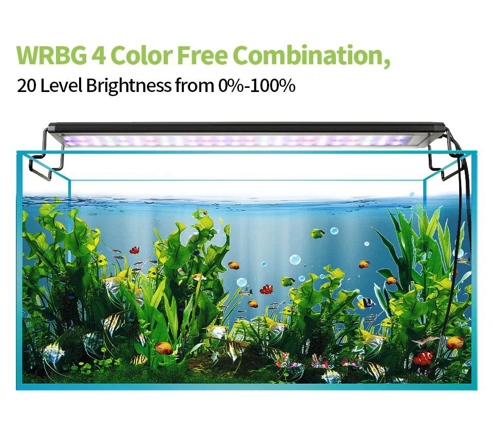 Lumière d'aquarium Programmable avec moniteur LCD et thermomètre pour plantes aquatiques, fonction mémoire, lampe LED à Cycle 24/7 - Animaleriex