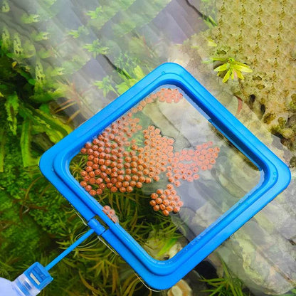 Anneau d'alimentation flottant pour poissons, Station d'aquarium à cercle carré avec ventouse, distributeur de nourriture facile, conception peu encombrante - Animaleriex