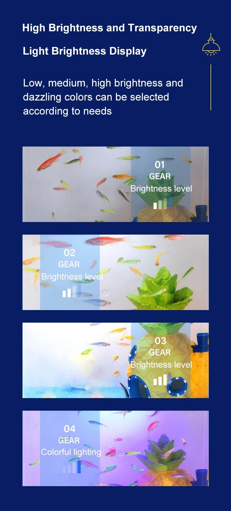 Réservoir de poissons de salon, petit mini réservoir Douyu, réservoir écologique de table domestique, filtre arrière à circulation automatique, réservoir de poissons rouges - Animaleriex