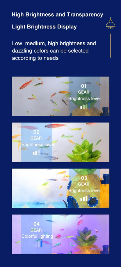 Réservoir de poissons de salon, petit mini réservoir Douyu, réservoir écologique de table domestique, filtre arrière à circulation automatique, réservoir de poissons rouges - Animaleriex