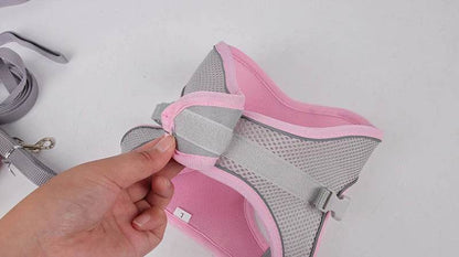 Ensemble de laisse de harnais pour chien pour petits chiens, harnais réglable pour chiot et chat, gilet bouledogue français, Chihuahua, carlin, laisse de marche en plein air - Animaleriex