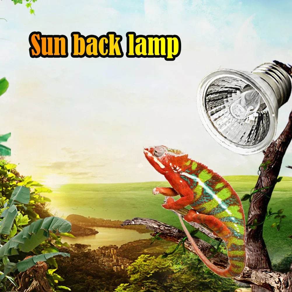 1-10 pièces 25/50/75W UVA + UVB lampe Reptile ampoule tortue se prélasser UV ampoules lumière chauffante spectre complet lampe solaire pour amphibiens - Animaleriex