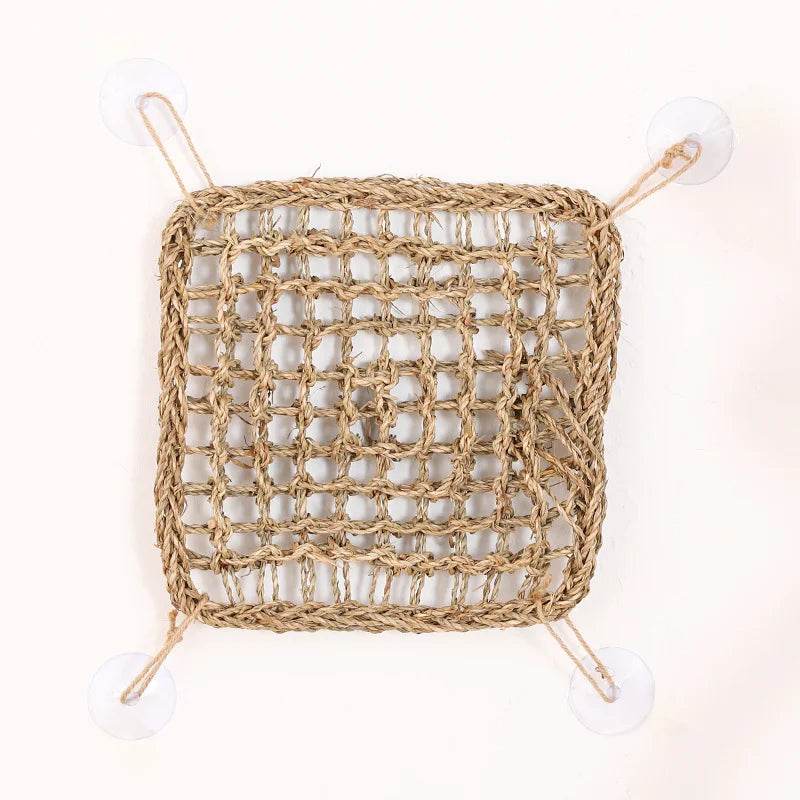 Hamac Dragon barbu pour reptiles, chaise longue pour caméléon, lézards, Gecko, serpents, Lguana, coussin d'herbe, balançoire pour animal de compagnie - Animaleriex