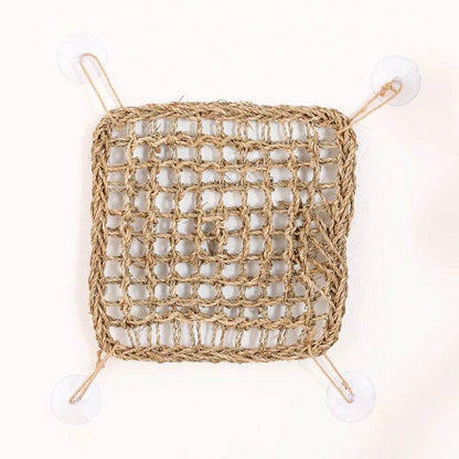 Hamac Dragon barbu pour reptiles, chaise longue pour caméléon, lézards, Gecko, serpents, Lguana, coussin d'herbe, balançoire pour animal de compagnie - Animaleriex