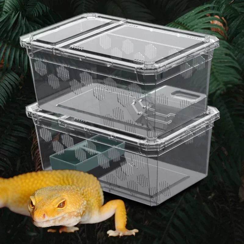 Cage d'élevage de reptiles en plastique transparent, vivariums avec balcon, fournitures de lézard, bivarium pour insectes, araignées, tortues - Animaleriex