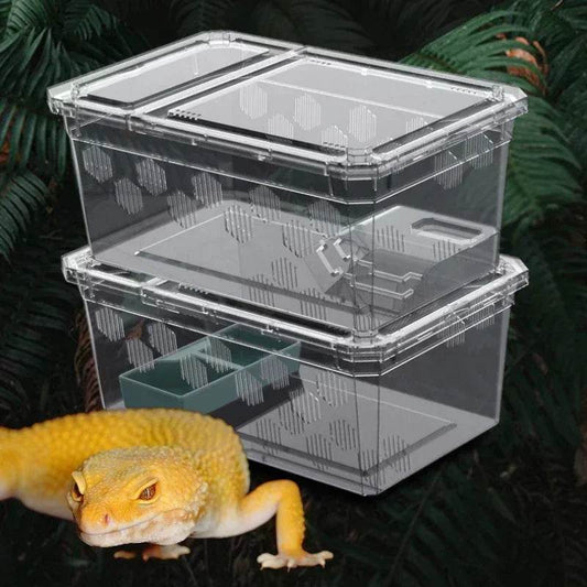 Cage d'élevage de reptiles en plastique transparent, vivariums avec balcon, fournitures de lézard, bivarium pour insectes, araignées, tortues - Animaleriex