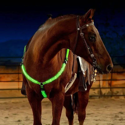 Sangles de poitrine de cheval LED 100CM, décoration d'équitation, Tubes lumineux, licou de selle équestre, produits de soins pour chevaux - Animaleriex